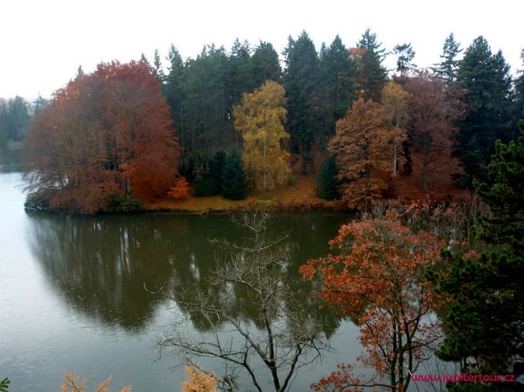 Осенний лес Пругонице