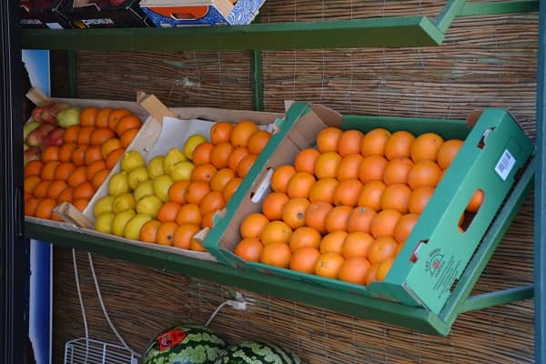 Лиофилизация продуктов